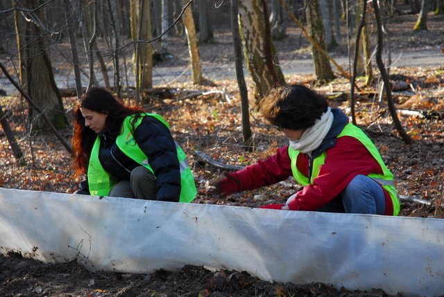 2009 Crapaudrome de Guiperreux 16